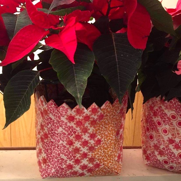 Welcome to my closet: @Lunajin - Picture 2 of 7